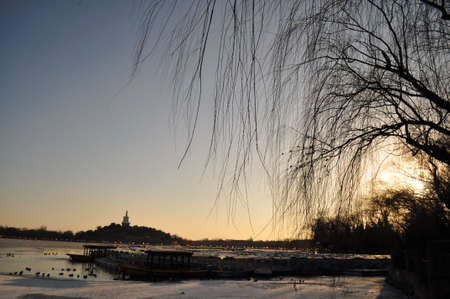 silhouette of bare trees at sunset on winter snow landの写真素材