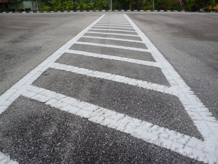 road side with the green sceneryの写真素材