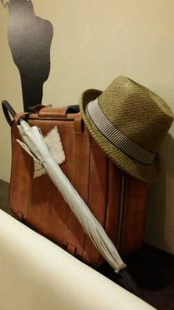 Travel luggage with umbrella and hatの素材