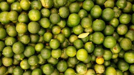 Fresh limeの素材