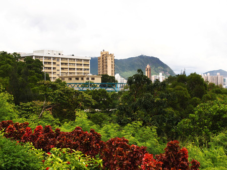ICC, view from Kowloon Tong の写真素材