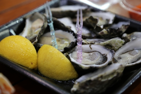 Oyster in Australiaの写真素材