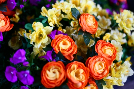 Flower close upの写真素材