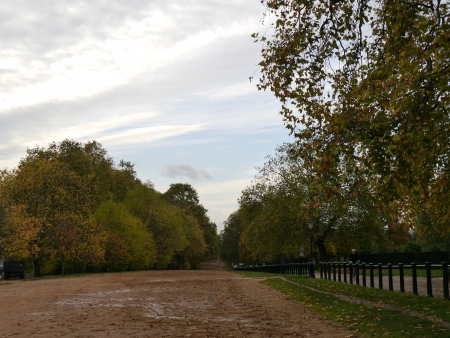 Beautiful Park during the dayの写真素材