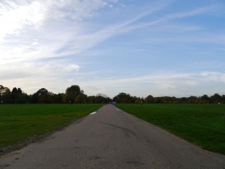 Empty road going through the middle of a valleyの写真素材