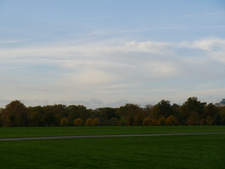 Beautiful Park During the Dayの写真素材
