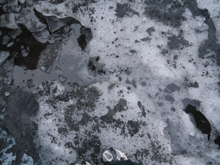 Melting snowの写真素材