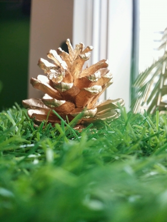 Christmas holiday ornament on the grassの素材