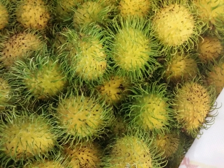 Rambutan tropical fruitsの素材