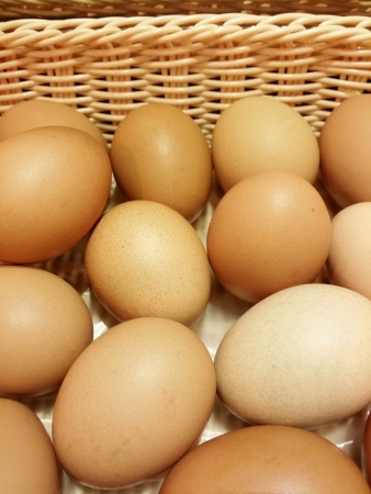 Raw chicken eggs in a basketの素材