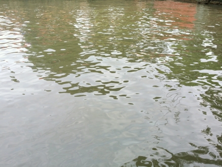 Water inside the Malacca river の素材