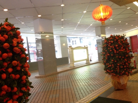 Hotel Entrance at Foyer Hotel CityView along Waterloo Street Hong Kong の素材
