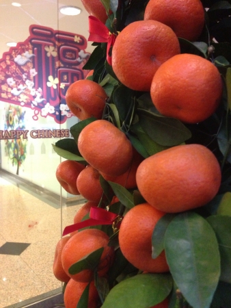 Close up mandarin orange plant 2014 Lunar New Year decorationの素材