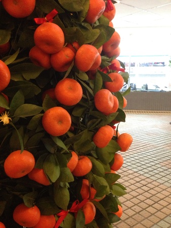Close up juicy round mandarin orange plant 2014 Lunar New Year decorationの素材