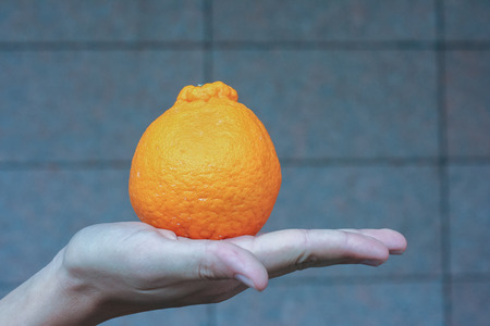 Orange on handの写真素材