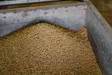 Pellet pig feedの写真素材