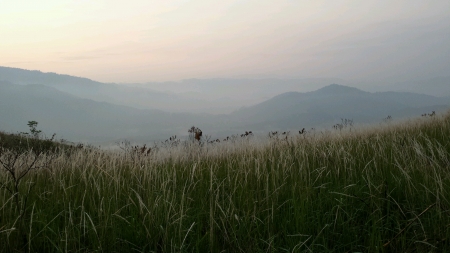 Beautiful scene of hillの素材