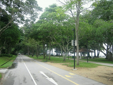 One way straight road の素材