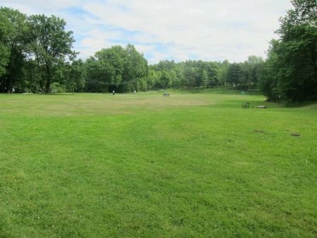 Green field surrounded by trees の素材