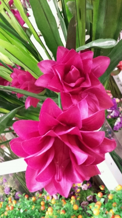 Beautiful red artificial flowerの素材