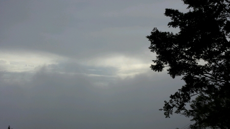 Beautiful sky with tree shadowの素材
