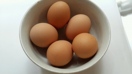 Bowl of eggs の素材