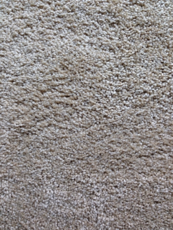 Carpet texture 