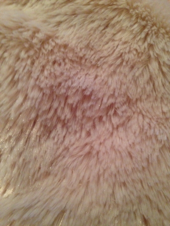 Fur texture 