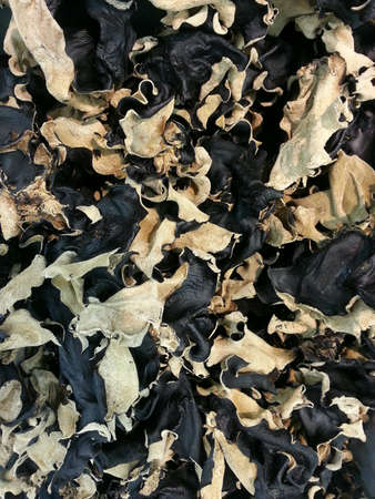 Dried ear fungusの素材