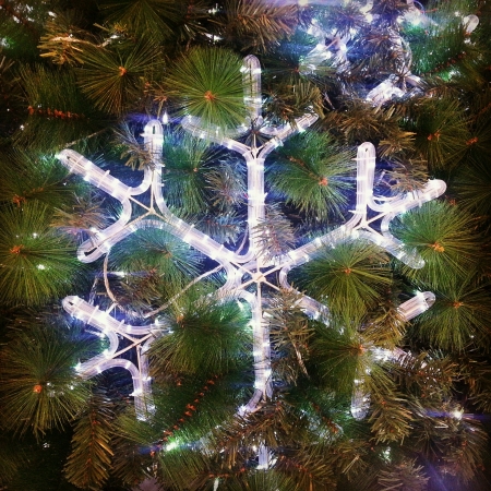 Close up of star lighting on Christmas treeの素材