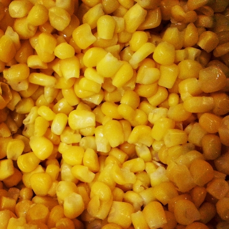Close Up of sweet cornの素材