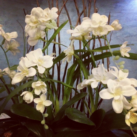 Pretty artificial  white flowers plant under dim lightingの素材