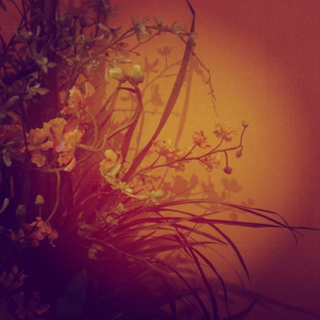 Beautiful background of an artificial plantの素材