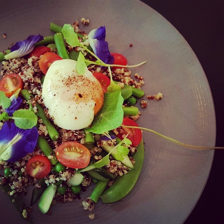 Quiona salad with poached eggの素材