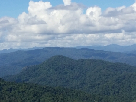 The top view of green mountainの素材