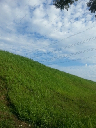 View of hilly green fieldsの素材