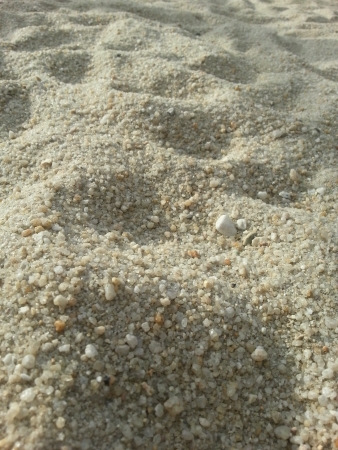 Sands of beachの素材