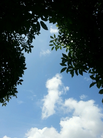 The clear skyの素材