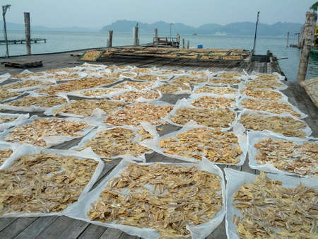 alots of salted fish and nice sea viewの素材