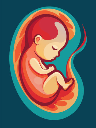 Human fetus in the womb. Pregnancy and maternity concept image. Cartoon vector illustrationの素材