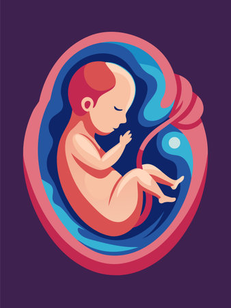 Human fetus in the womb. Pregnancy and maternity concept image. Cartoon vector illustrationの素材