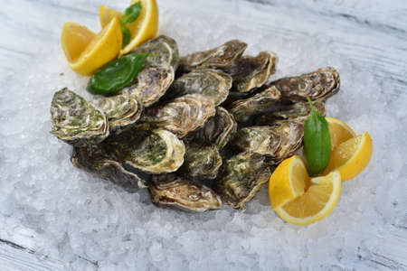 oyster dish on ice with lemon
