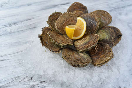 oysters on ice with lemonの写真素材