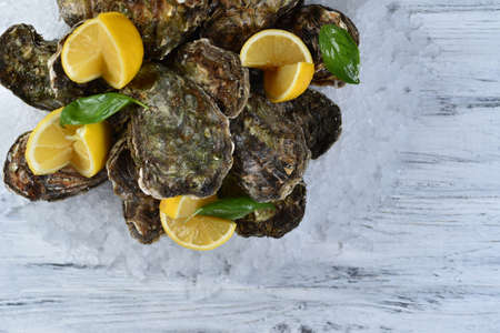 oyster dish on ice with lemonの写真素材