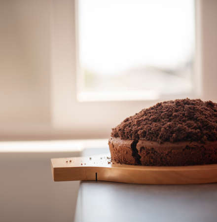 homemade chocolate cake on a wooden boardの写真素材
