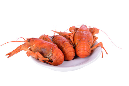 Boiled red crawfishes in plate isolated on a white backgroundの写真素材