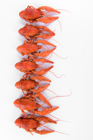 Boiled red crawfishes isolated on a white backgroundの写真素材