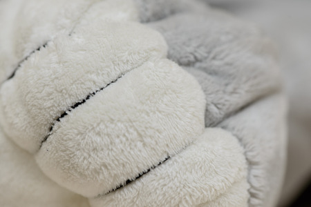 soft plush toy bear paw closeup macroの写真素材