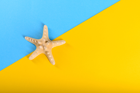 Summer background one big starfish on yellow blueの写真素材