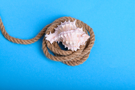 White seashell on a rope in blue background close-upの写真素材